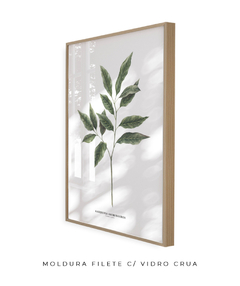 Quadro Decorativo Galho Jasmim Gardênia