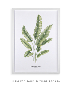 Quadro decorativo Heliconia Bihai - loja online