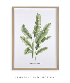 Quadro decorativo Heliconia Bihai