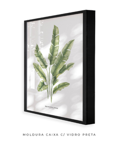 Imagem do Quadro decorativo Heliconia Bihai