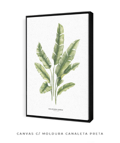 Imagem do Quadro decorativo Heliconia Bihai