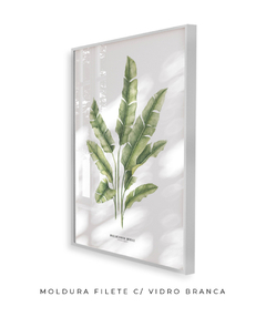 Quadro decorativo Heliconia Bihai - loja online