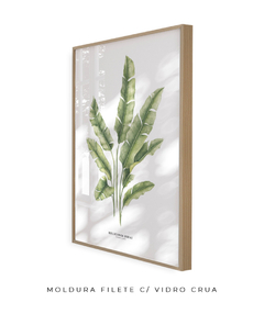 Imagem do Quadro decorativo Heliconia Bihai