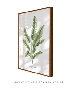 Quadro decorativo Heliconia Bihai - comprar online