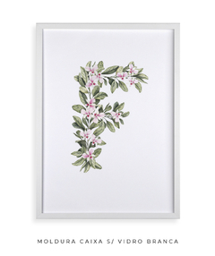 QUADRO DECORATIVO LETRA BOTÂNICA F - Flowersjuls - Quadros botânicos decorativos | Aquarelas autorais