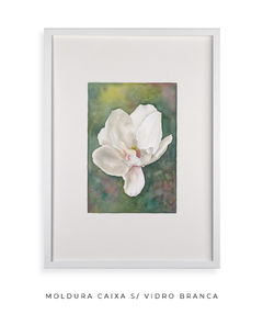 Quadro Decorativo Magnolia l - Flowersjuls - Quadros botânicos decorativos | Aquarelas autorais