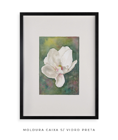 Quadro Decorativo Magnolia l - Flowersjuls - Quadros botânicos decorativos | Aquarelas autorais