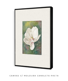 Quadro Decorativo Magnolia l na internet