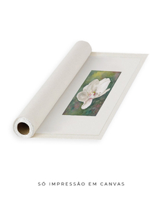 Quadro Decorativo Magnolia l - Flowersjuls - Quadros botânicos decorativos | Aquarelas autorais