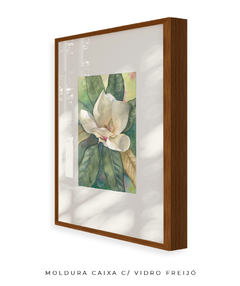 Quadro Decorativo Magnolia ll na internet