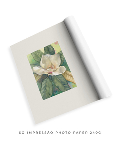 Quadro Decorativo Magnolia ll