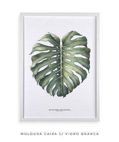 Quadro Decorativo Monstera Deliciosa - loja online