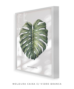 Imagem do Quadro Decorativo Monstera Deliciosa