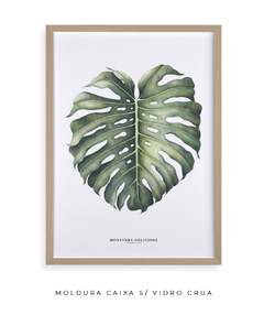 Quadro Decorativo Monstera Deliciosa