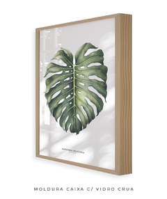 Quadro Decorativo Monstera Deliciosa - comprar online