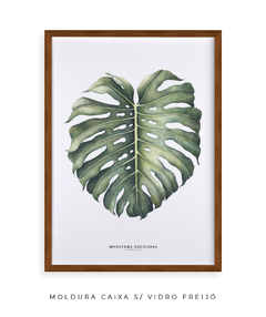 Quadro Decorativo Monstera Deliciosa - Flowersjuls - Quadros botânicos decorativos | Aquarelas autorais