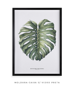 Quadro Decorativo Monstera Deliciosa - loja online