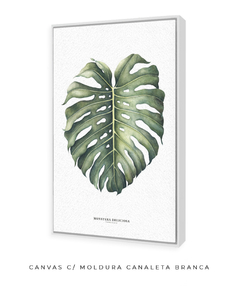 Quadro Decorativo Monstera Deliciosa na internet