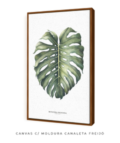 Quadro Decorativo Monstera Deliciosa