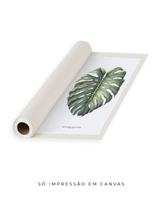 Quadro Decorativo Monstera Deliciosa - Flowersjuls - Quadros botânicos decorativos | Aquarelas autorais