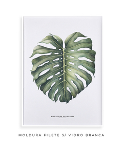 Quadro Decorativo Monstera Deliciosa - loja online