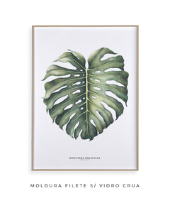 Quadro Decorativo Monstera Deliciosa - comprar online