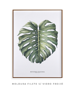 Quadro Decorativo Monstera Deliciosa - comprar online