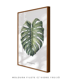 Quadro Decorativo Monstera Deliciosa na internet