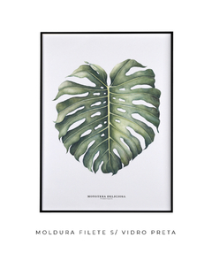 Quadro Decorativo Monstera Deliciosa - comprar online