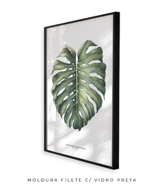 Quadro Decorativo Monstera Deliciosa - loja online