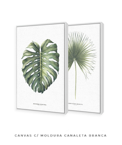 Quadro Decorativo Monstera Deliciosa + Palmeira Leque - Flowersjuls - Quadros botânicos decorativos | Aquarelas autorais