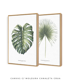 Quadro Decorativo Monstera Deliciosa + Palmeira Leque - loja online