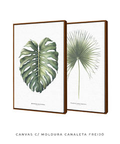 Imagem do Quadro Decorativo Monstera Deliciosa + Palmeira Leque