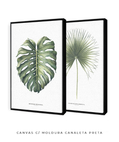 Quadro Decorativo Monstera Deliciosa + Palmeira Leque