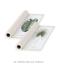 Quadro Decorativo Monstera Deliciosa + Palmeira Leque - comprar online