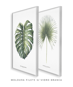 Quadro Decorativo Monstera Deliciosa + Palmeira Leque na internet