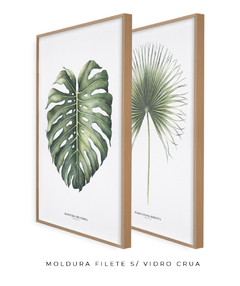 Quadro Decorativo Monstera Deliciosa + Palmeira Leque - loja online