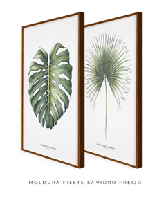 Quadro Decorativo Monstera Deliciosa + Palmeira Leque