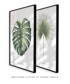 Quadro Decorativo Monstera Deliciosa + Palmeira Leque - Flowersjuls - Quadros botânicos decorativos | Aquarelas autorais