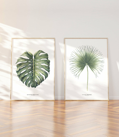 Quadro Decorativo Monstera Deliciosa + Palmeira Leque