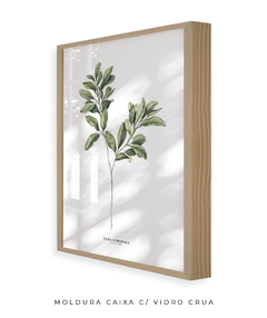 Quadro Decorativo Oliveira - comprar online