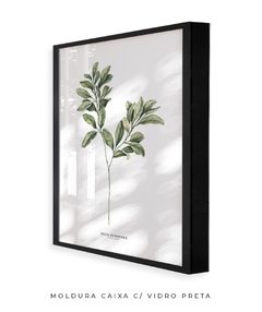 Quadro Decorativo Oliveira - comprar online