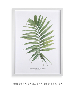 Quadro decorativo Palm Elegans - loja online