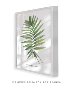 Imagem do Quadro decorativo Palm Elegans