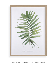 Quadro decorativo Palm Elegans