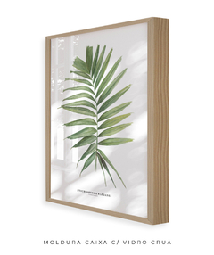 Quadro decorativo Palm Elegans - comprar online