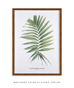 Quadro decorativo Palm Elegans na internet