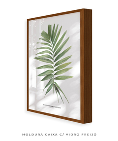 Quadro decorativo Palm Elegans - Flowersjuls - Quadros botânicos decorativos | Aquarelas autorais