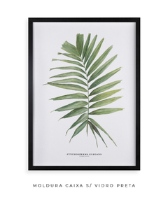 Quadro decorativo Palm Elegans - loja online