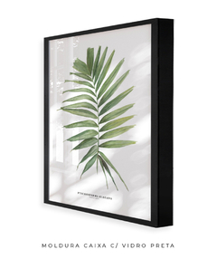 Imagem do Quadro decorativo Palm Elegans